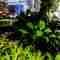 j Aqua Design - Projeto - Ecoarium - Mysterious Forest