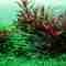 j Aqua Design - Projeto - Ecoarium - Private Landscape